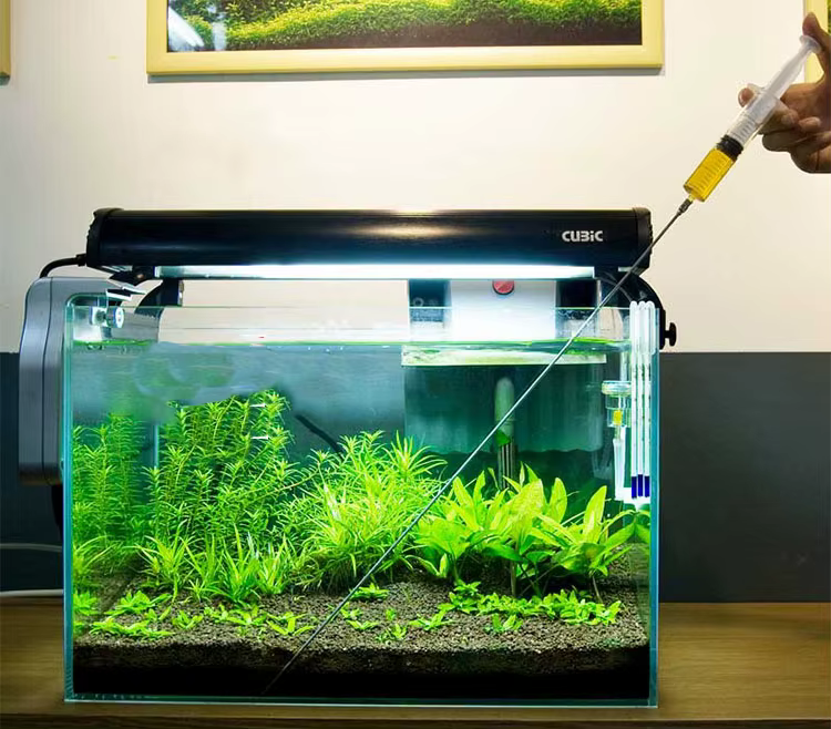 Seringue de croissance pour plantes d'aquarium, 30/50cm, injecteur de liquide