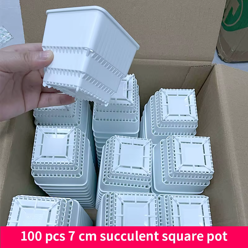 Pot de fleurs succulentes en plastique de 7 cm