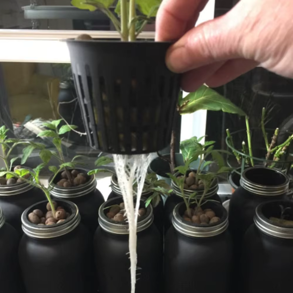 Paniers de plantation, tasses à valeur fixe avec étiquettes pour plantes