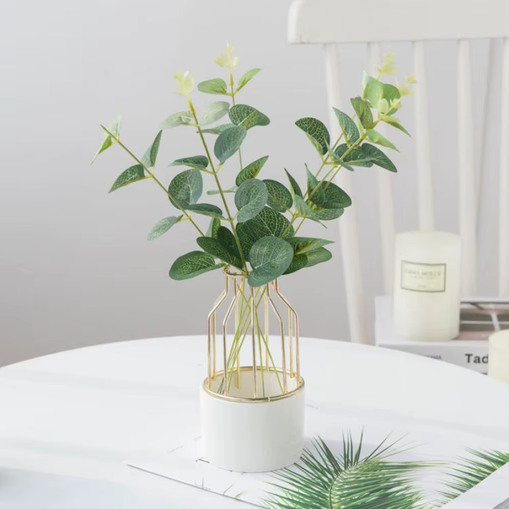 Feuilles d'eucalyptus bon marché