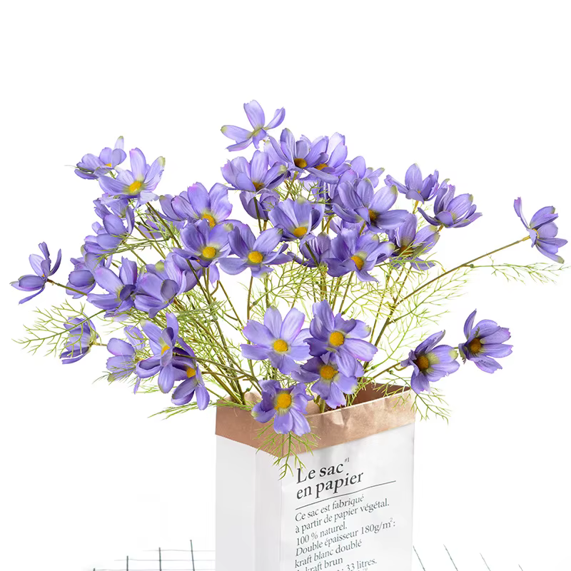 Fleur Cosmos Gesang Tournesols