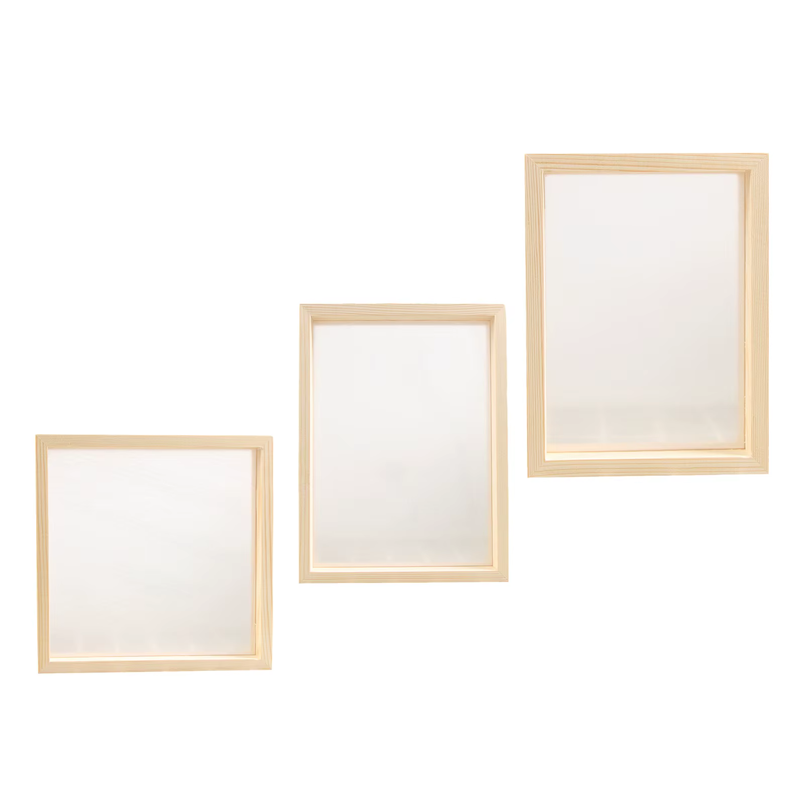 Cadre Photo Double face pour plantes