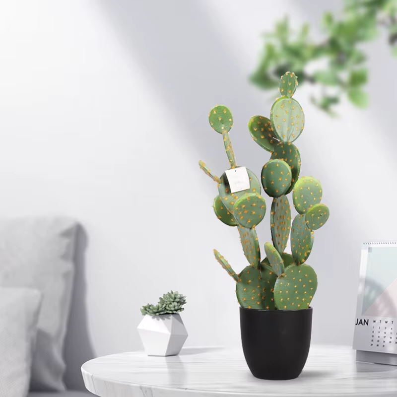 Cactus Plante Succulente Artificielle