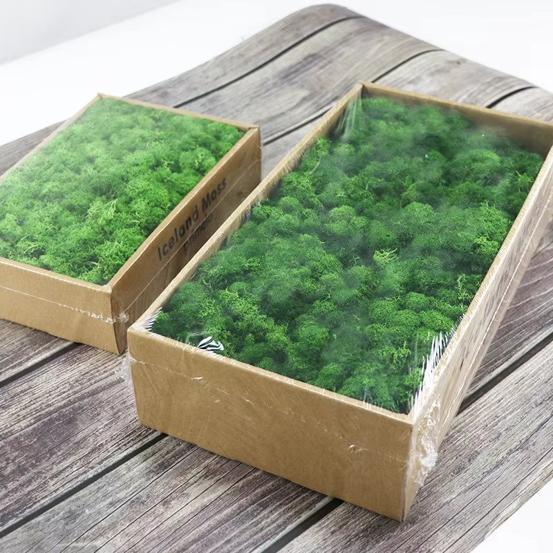 Plante Verte Artificielle