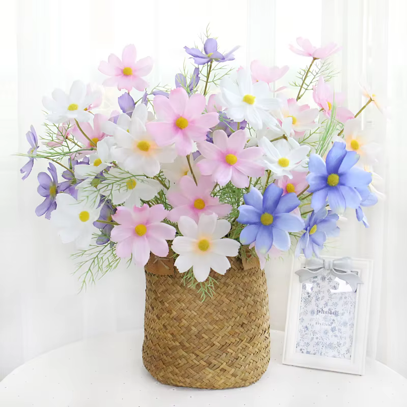 Fleur Cosmos Gesang Tournesols