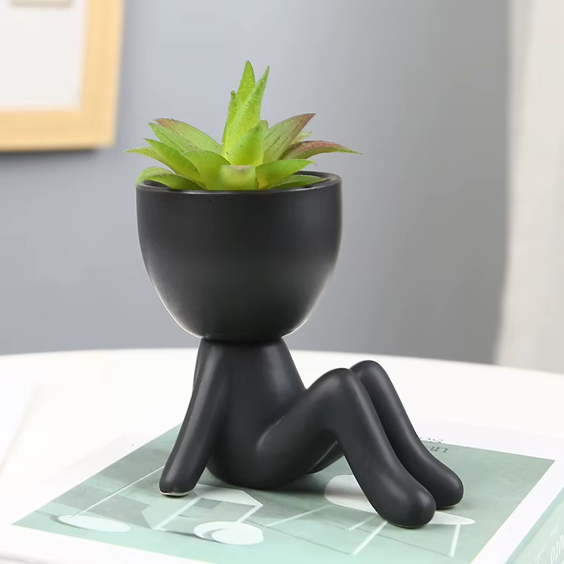 Pot de fleurs succulentes nordique