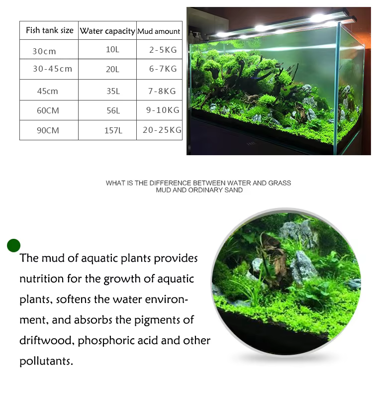 Sol de graines de plantes d'aquarium