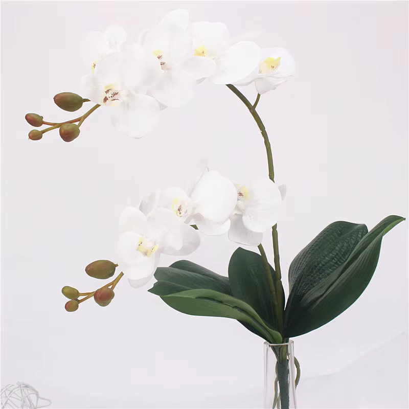 Fleur artificielle Phalaenopsis à 2 branches de 60 cm