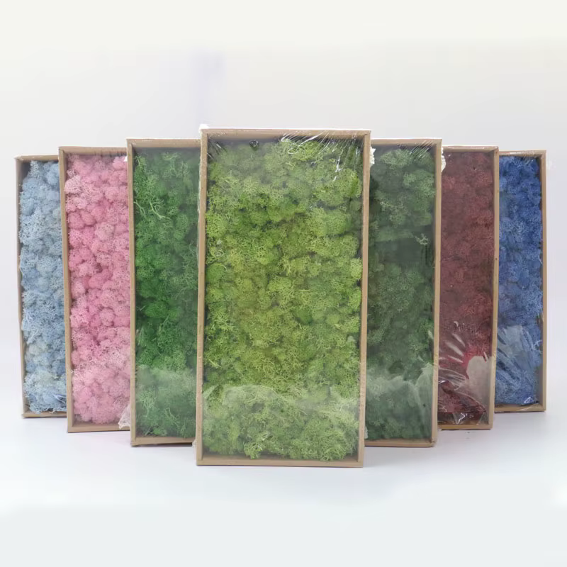 Simulation de plantes, vie éternelle