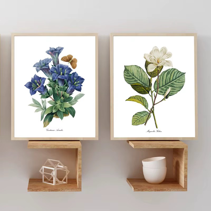 PJ. Affiches et imprimés Vintage de fleurs de Redoute