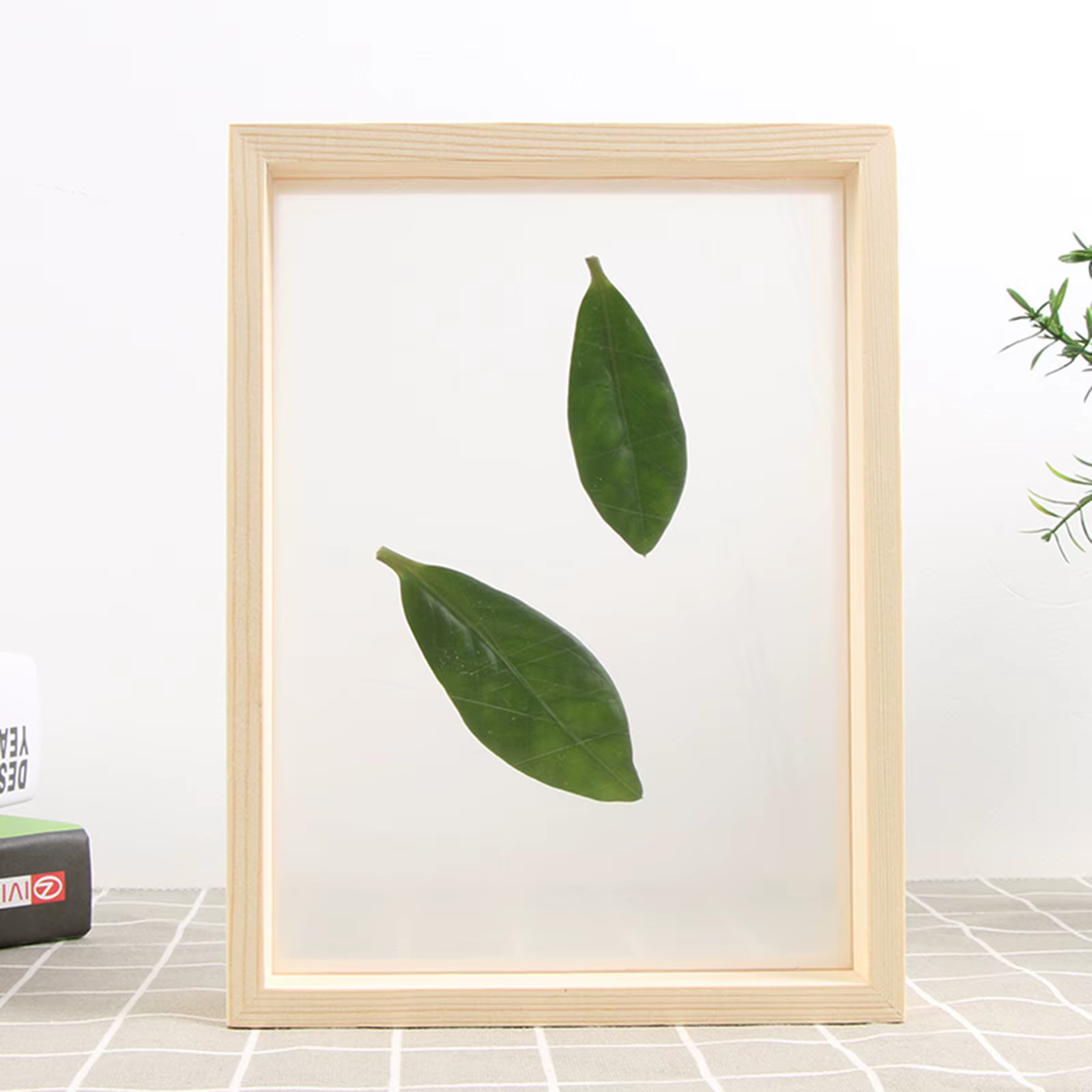 Cadre Photo Double face pour plantes