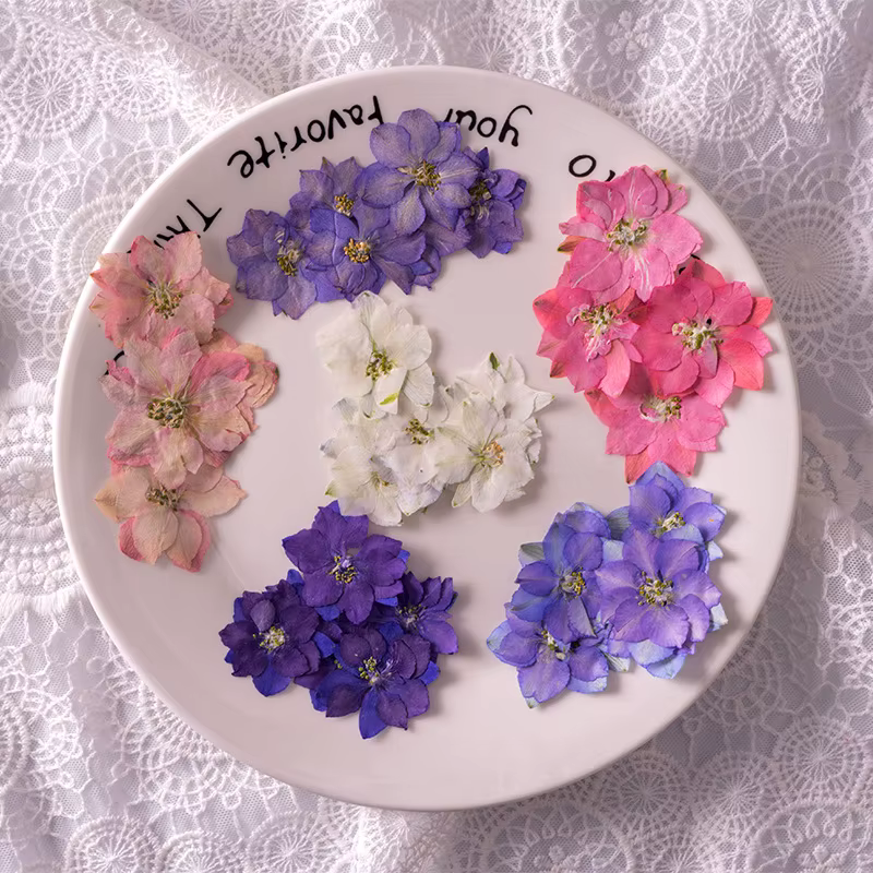 PMurcia-Fleurs de Gaura et Lindheimeri séchées