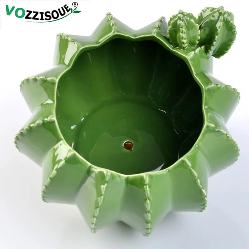 Pots de bonsaï Cactus en céramique créatifs