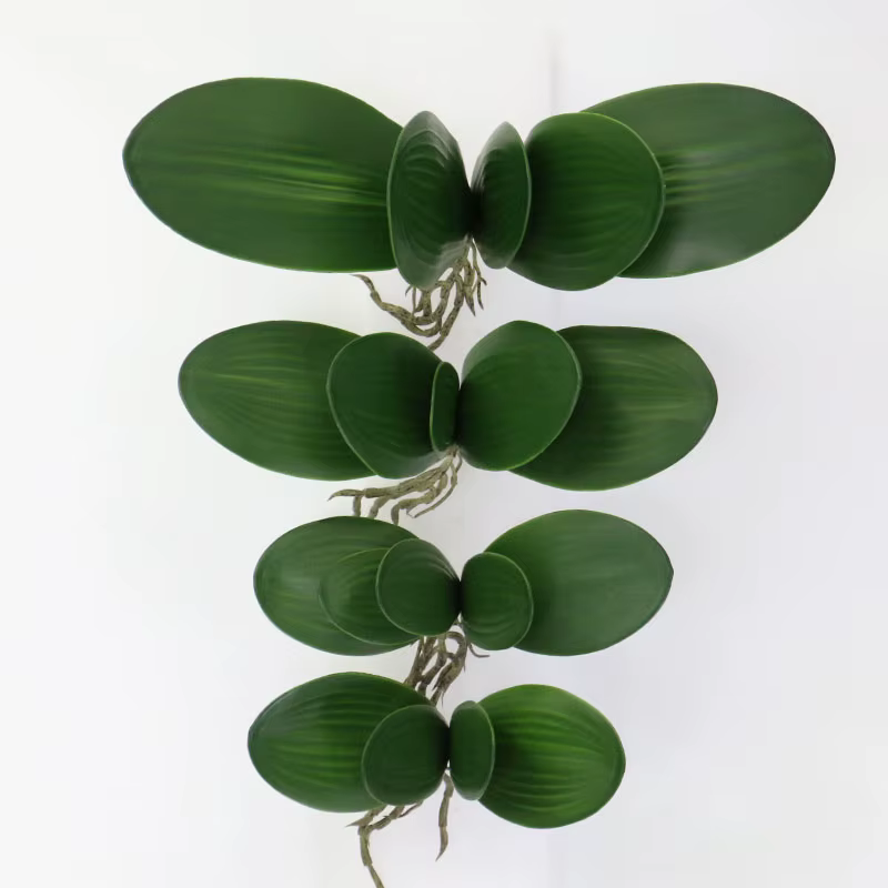 Plantes artificielles, feuilles de Phalaenopsis