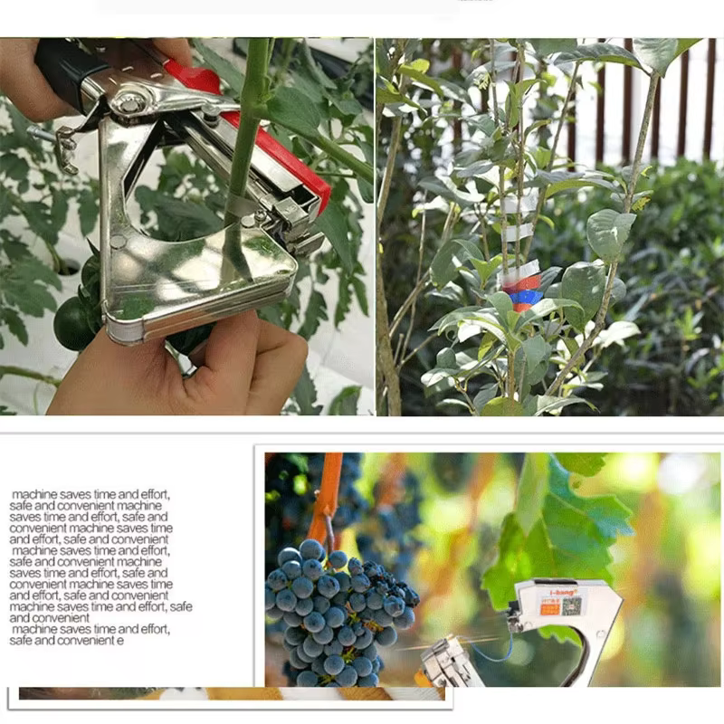 Onnfang-Ruban de cerclage de tiges pour plantes