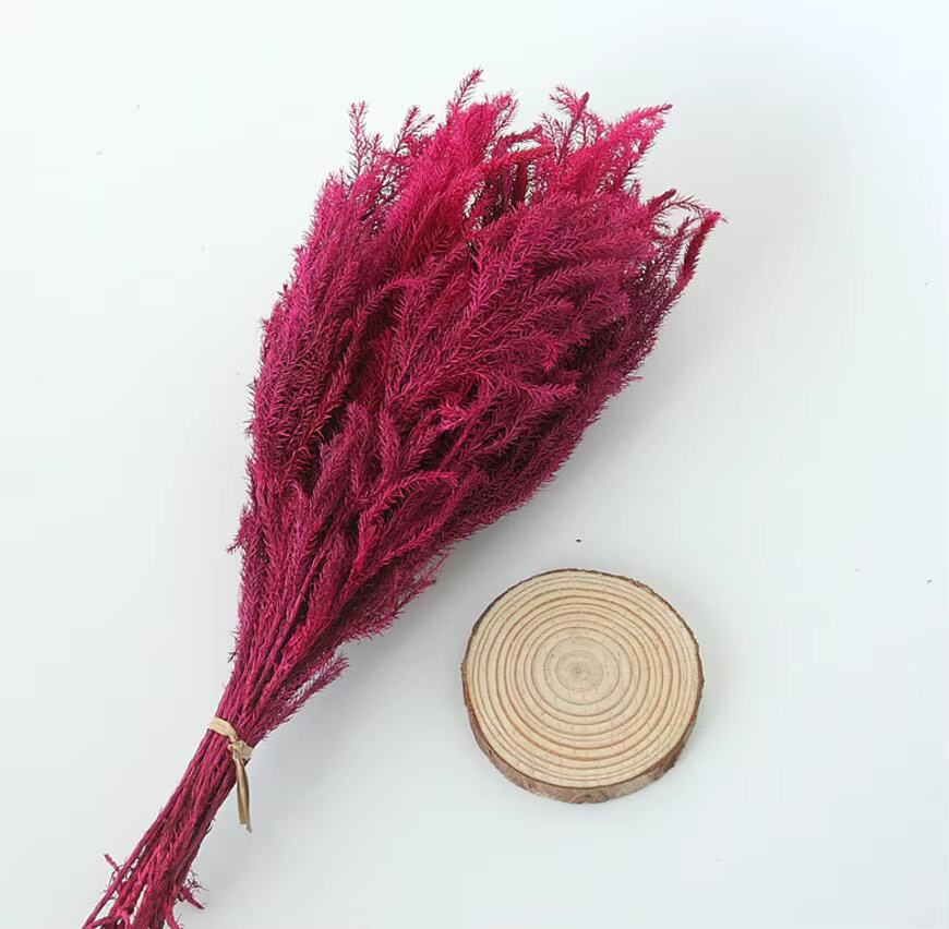 Lot de 2 branches de fleurs préservées | Branche de fleur Lycopodium japonicum pour Arrangement floral