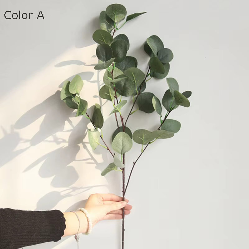 Branche d'arbre d'eucalyptus