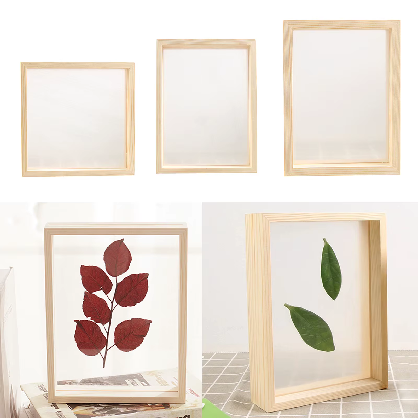 Cadre Photo Double face pour plantes