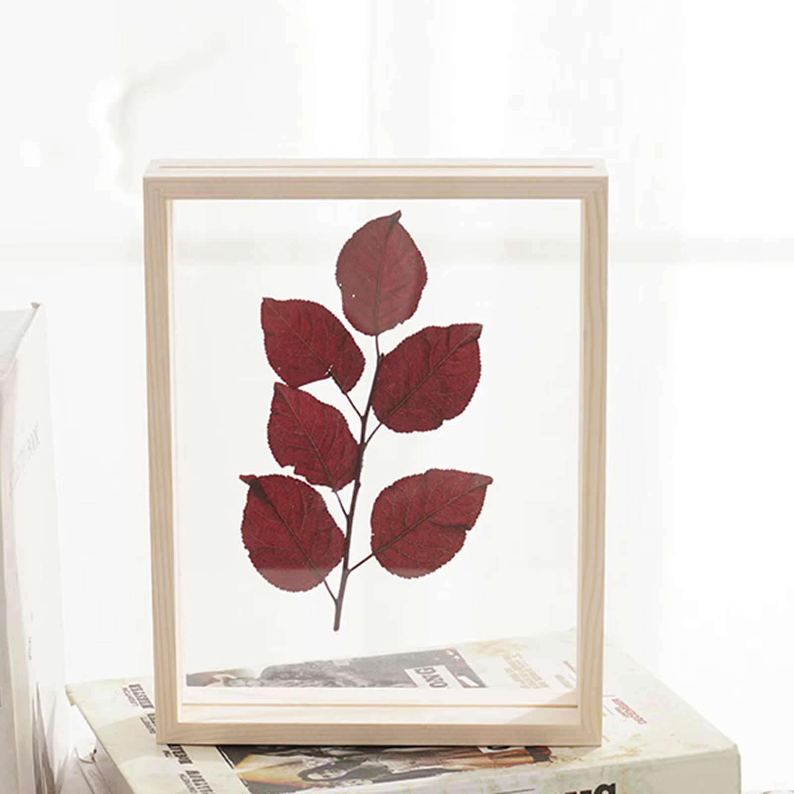 Cadre Photo Double face pour plantes