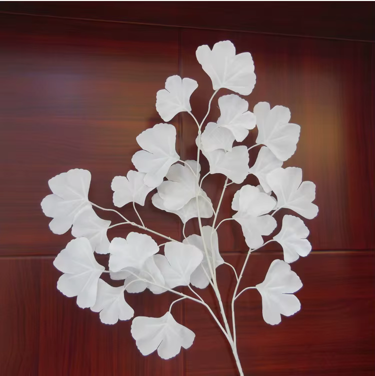 Feuilles de maiden Ginkgo Biloba blanches