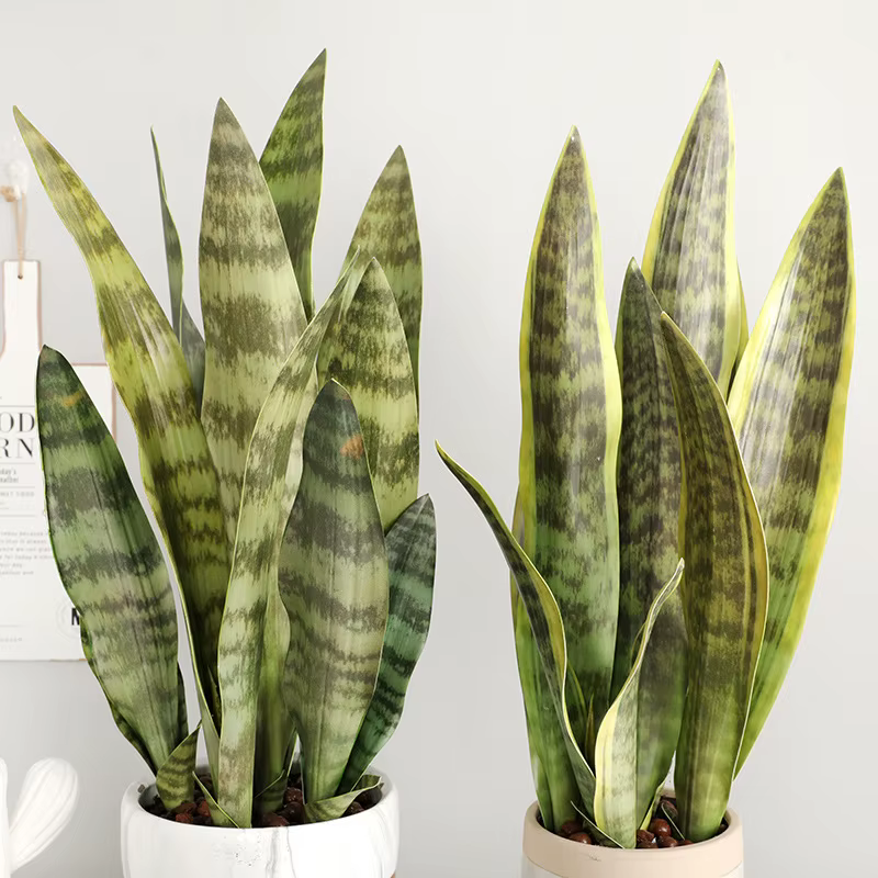 Plantes de tigre Piran artificielles en plastique Tropical