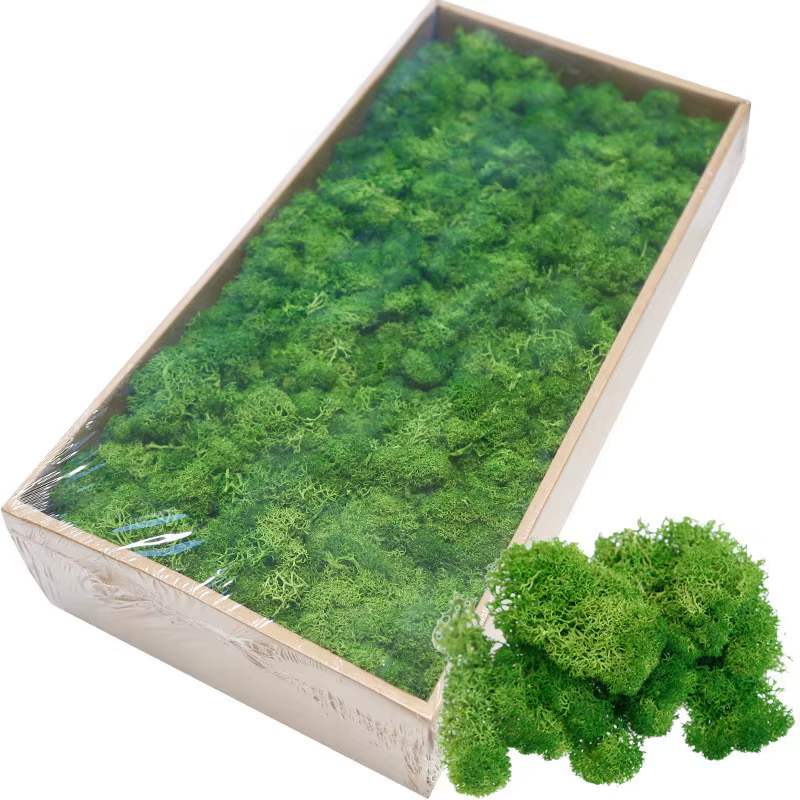 Plante Verte Artificielle