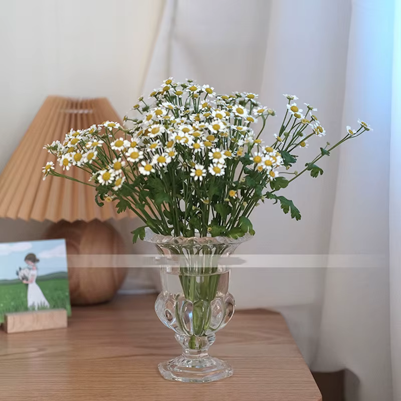 Vase à Fleurs en Verre Transparent