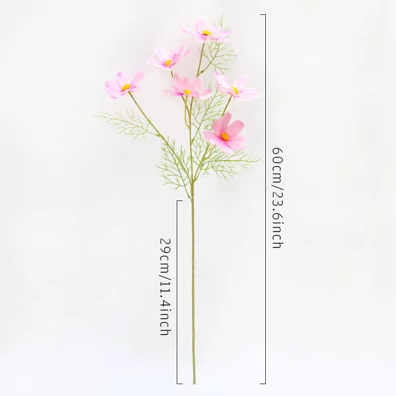 Fleur Cosmos Gesang Tournesols