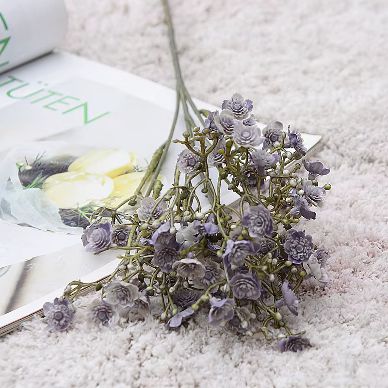 Fleur de gypsophile pour la décoration de la maison