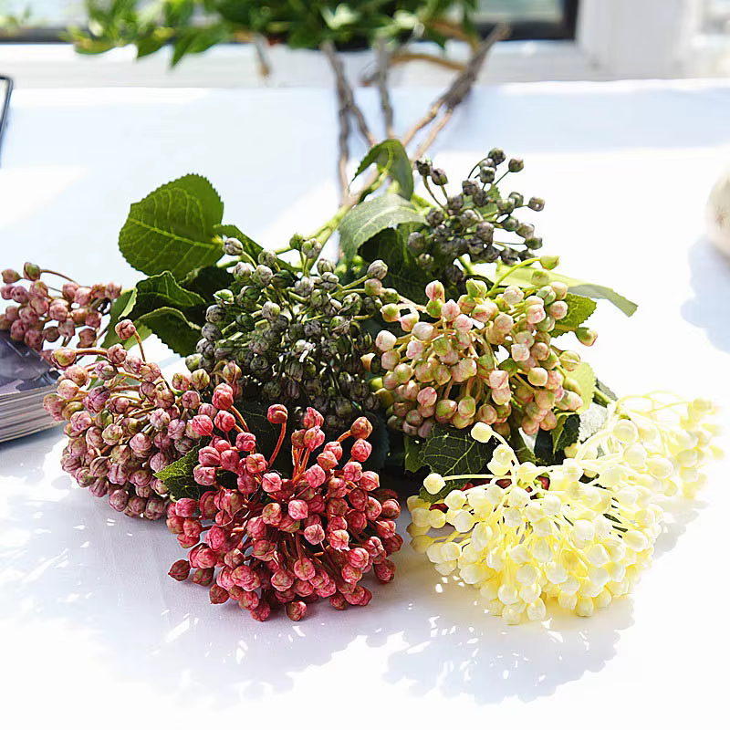 Branches de fruits de baies d'hortensia
