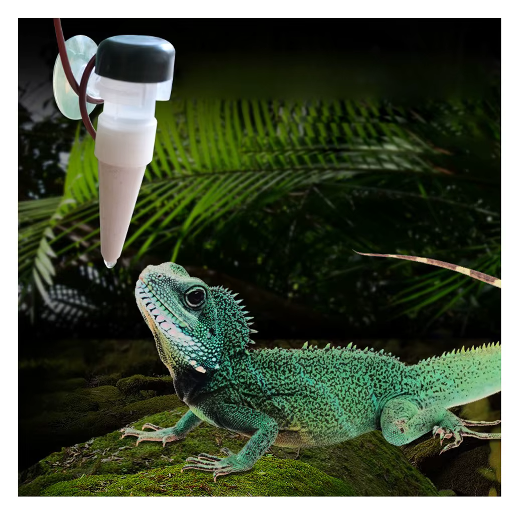 TERRARIUM système d'arrosage | Filtre DRIPPER