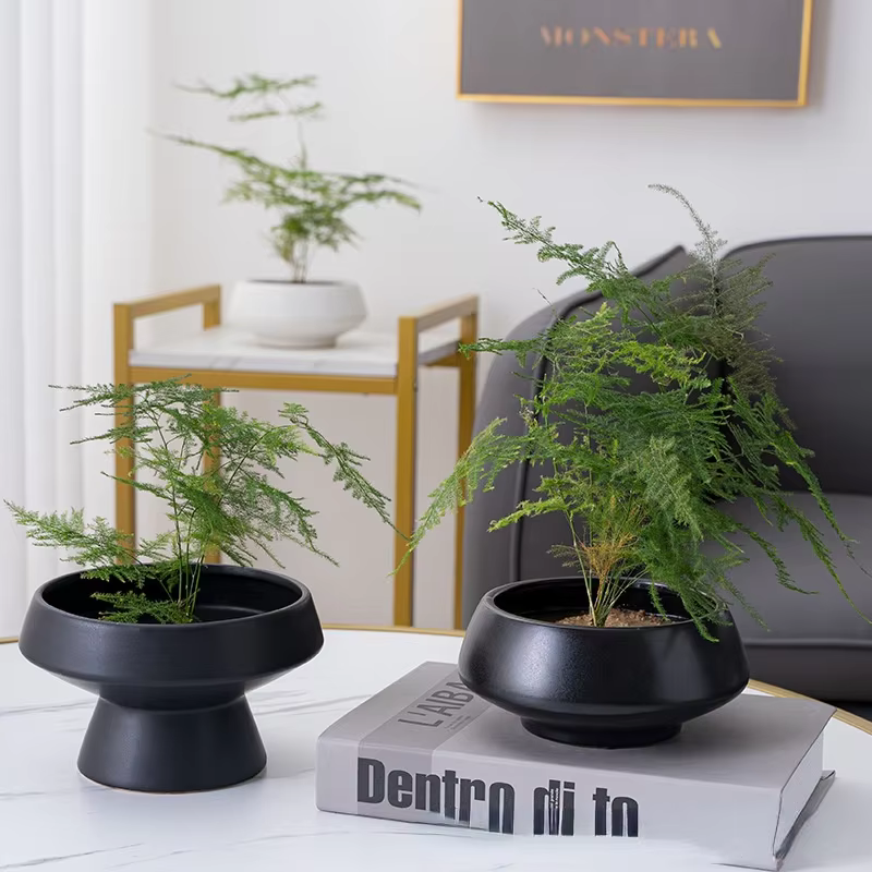 Vase rond en céramique pour fleurs hydroponiques