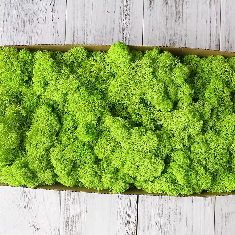 Mousse naturelle verte plante artificielle 200g