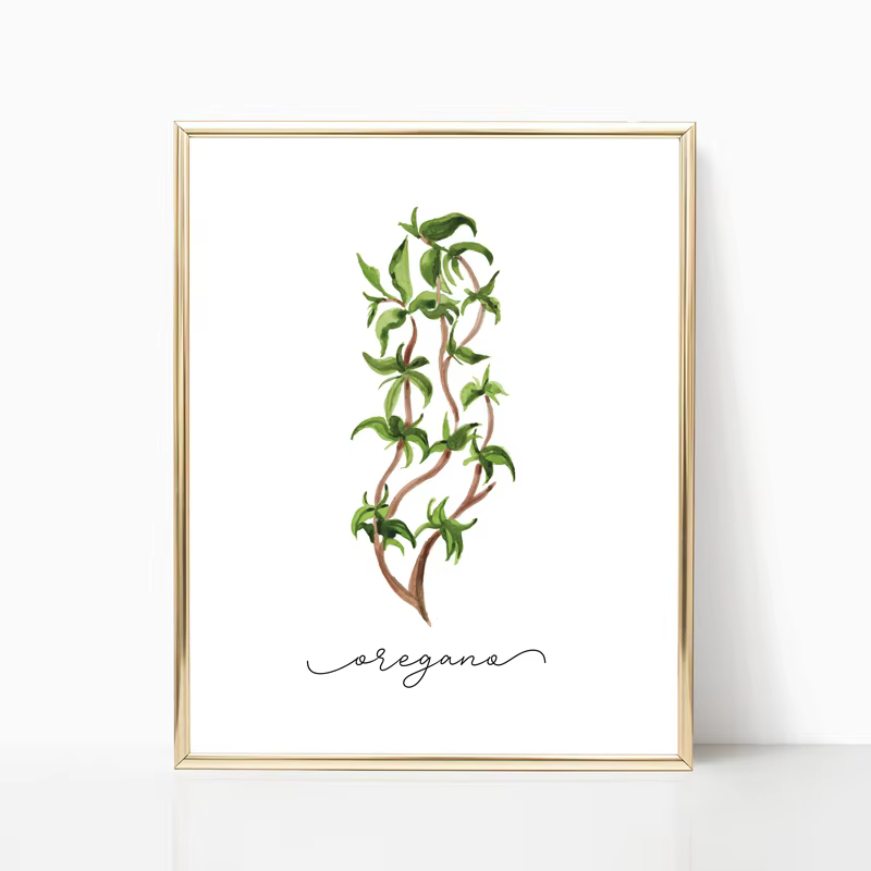 Affiches murales sur toile de Collection d'herbes