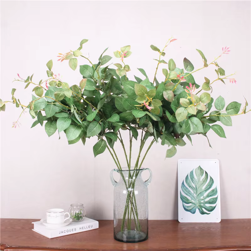 Plantes vertes pour décoration