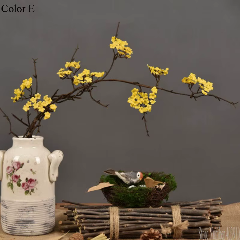 Fleurs de cerisier branche d'arbre