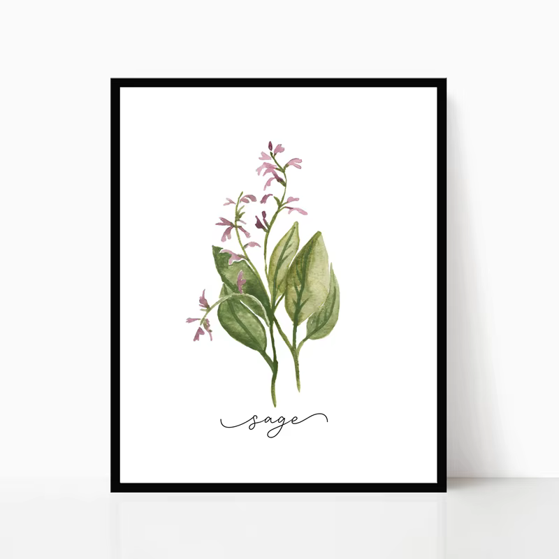 Affiches murales sur toile de Collection d'herbes