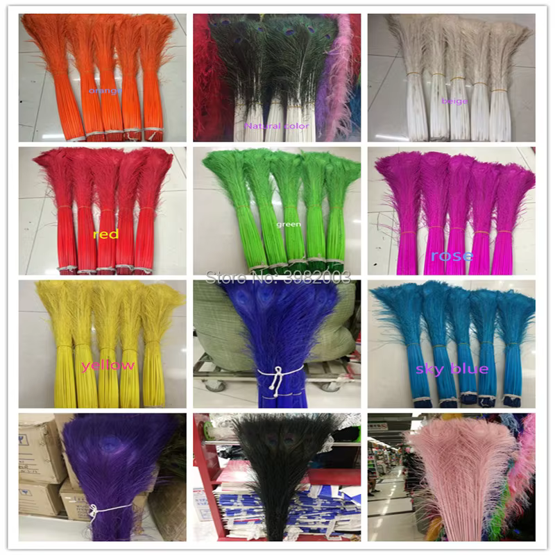Nouveau! Plumes de paon naturelles pour vase à fleurs décoré