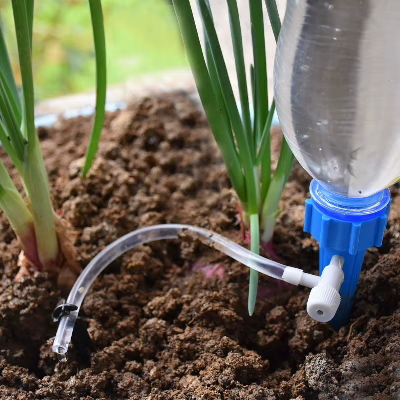 Système d'arrosage automatique pour plantes