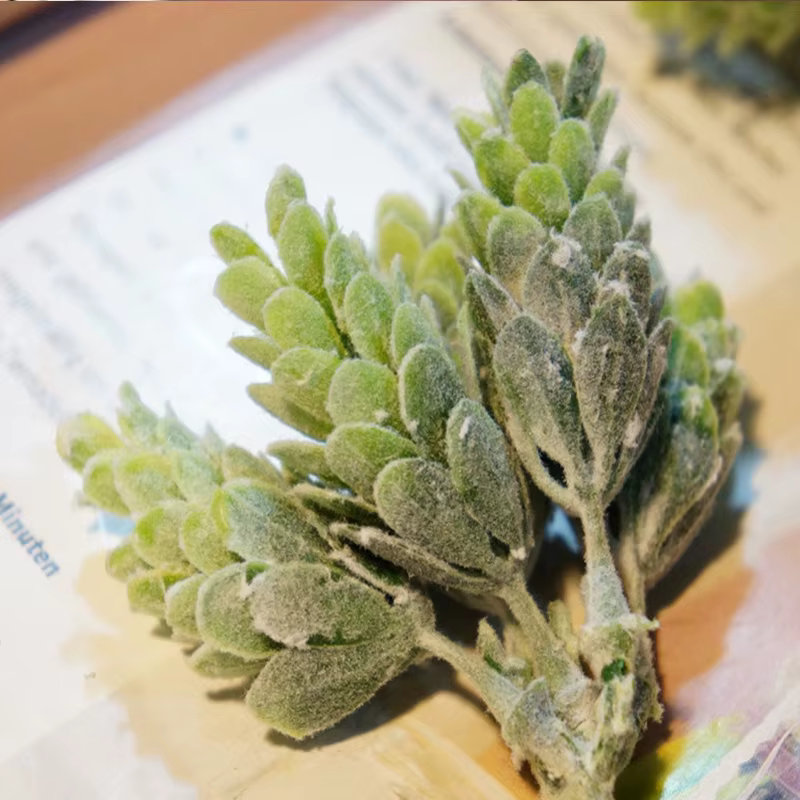 30 pièces/lot fausse plante verte fleurs artificielles en plastique bon marché pour la maison Table décorative mariage noël bricolage bonbons boîte-cadeau