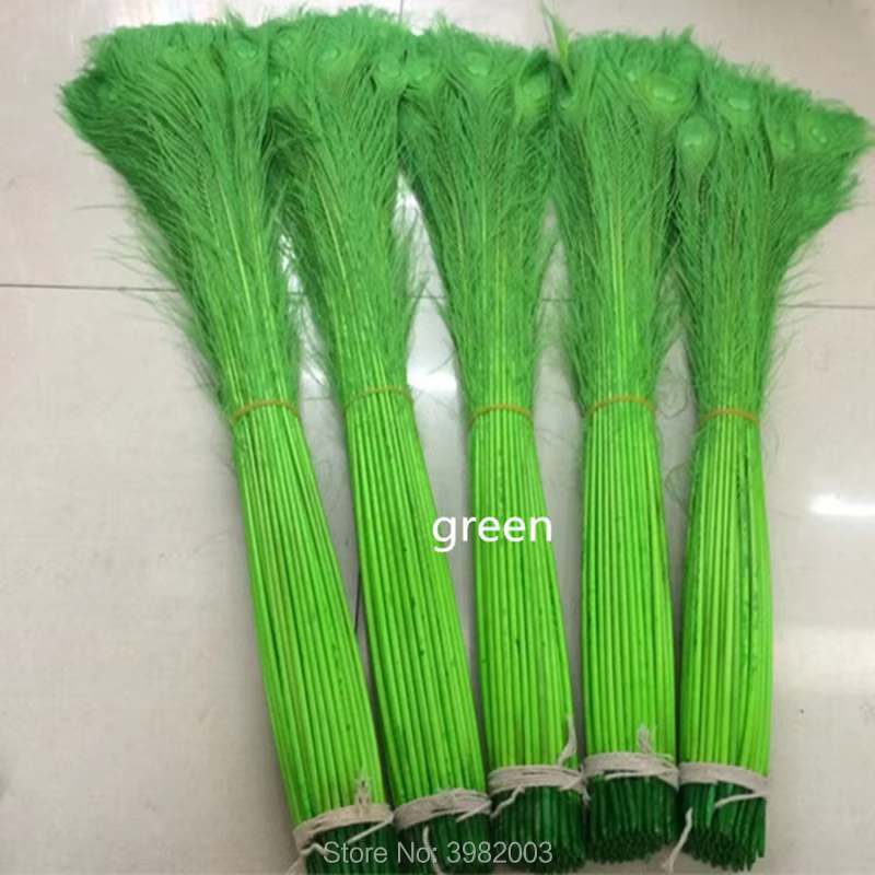 Nouveau! Plumes de paon naturelles pour vase à fleurs décoré