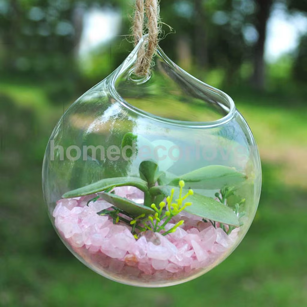 Vase en verre transparent pour plantes à fleurs