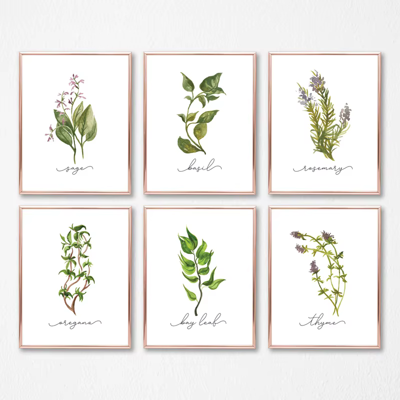 Affiches murales sur toile de Collection d'herbes