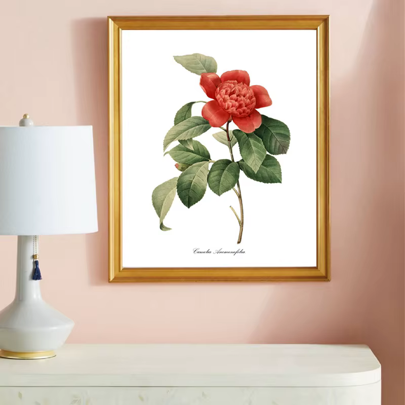 PJ. Affiches et imprimés Vintage de fleurs de Redoute