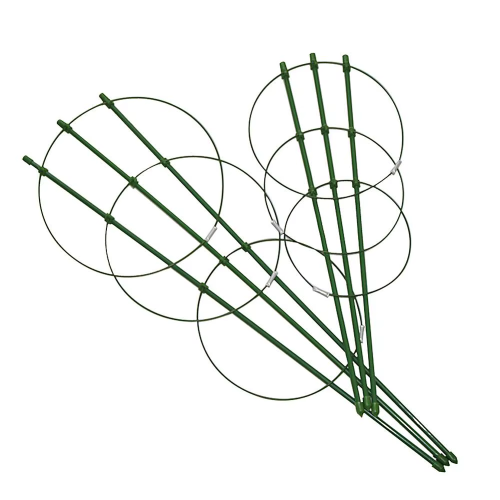 Support de plantes grimpantes
