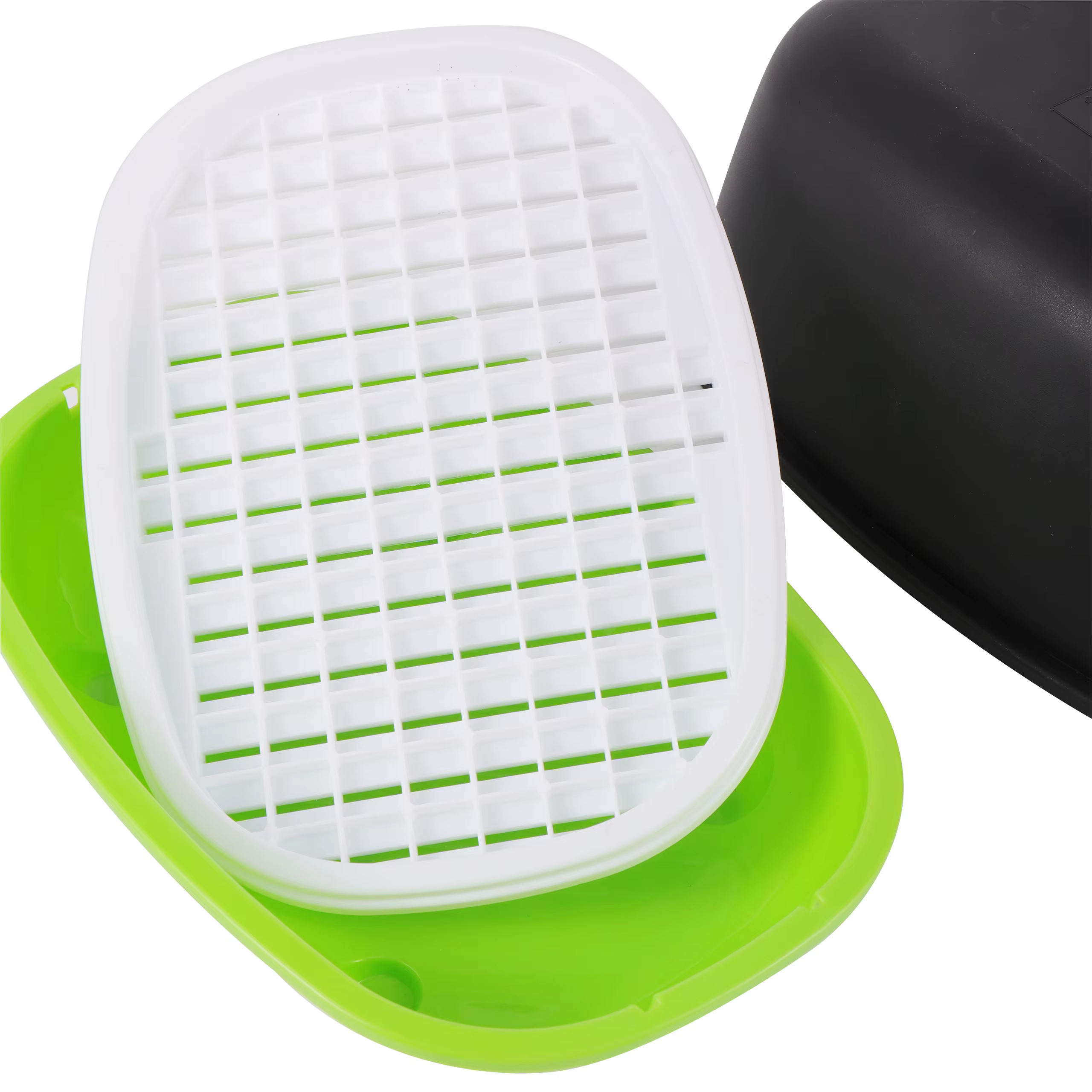 Boîte hydroponique pour germer des cacahuètes