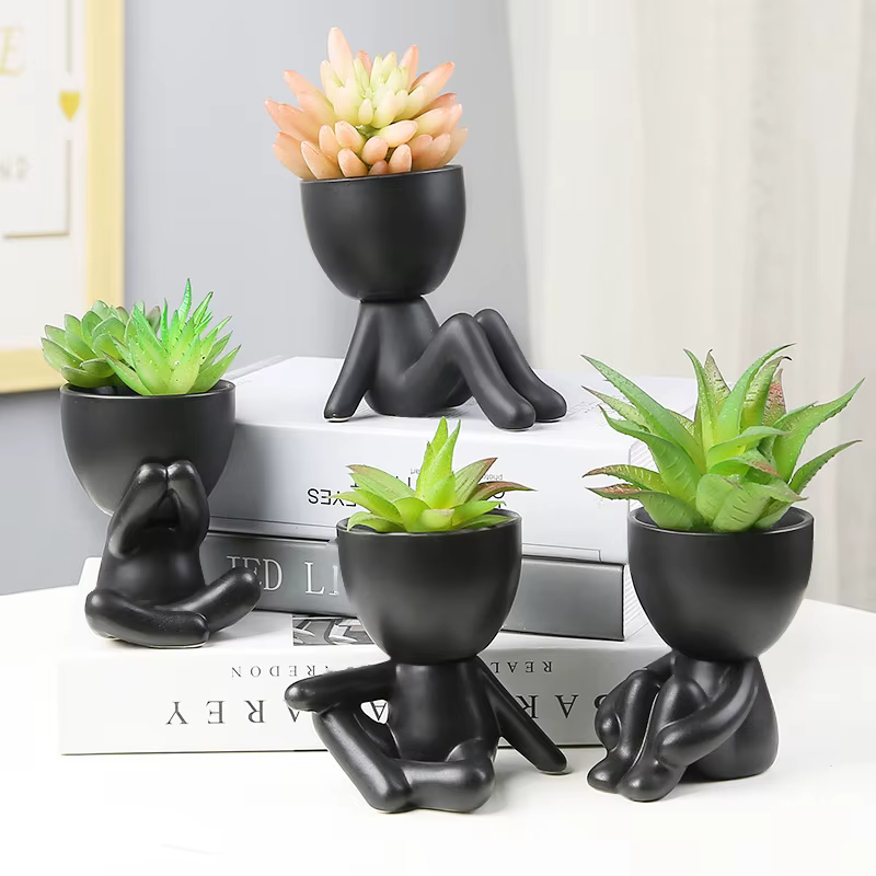Pot de fleurs succulentes nordique