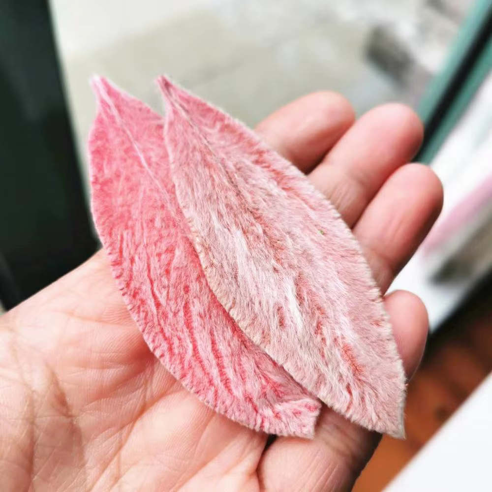 Feuilles de Lanata préservées