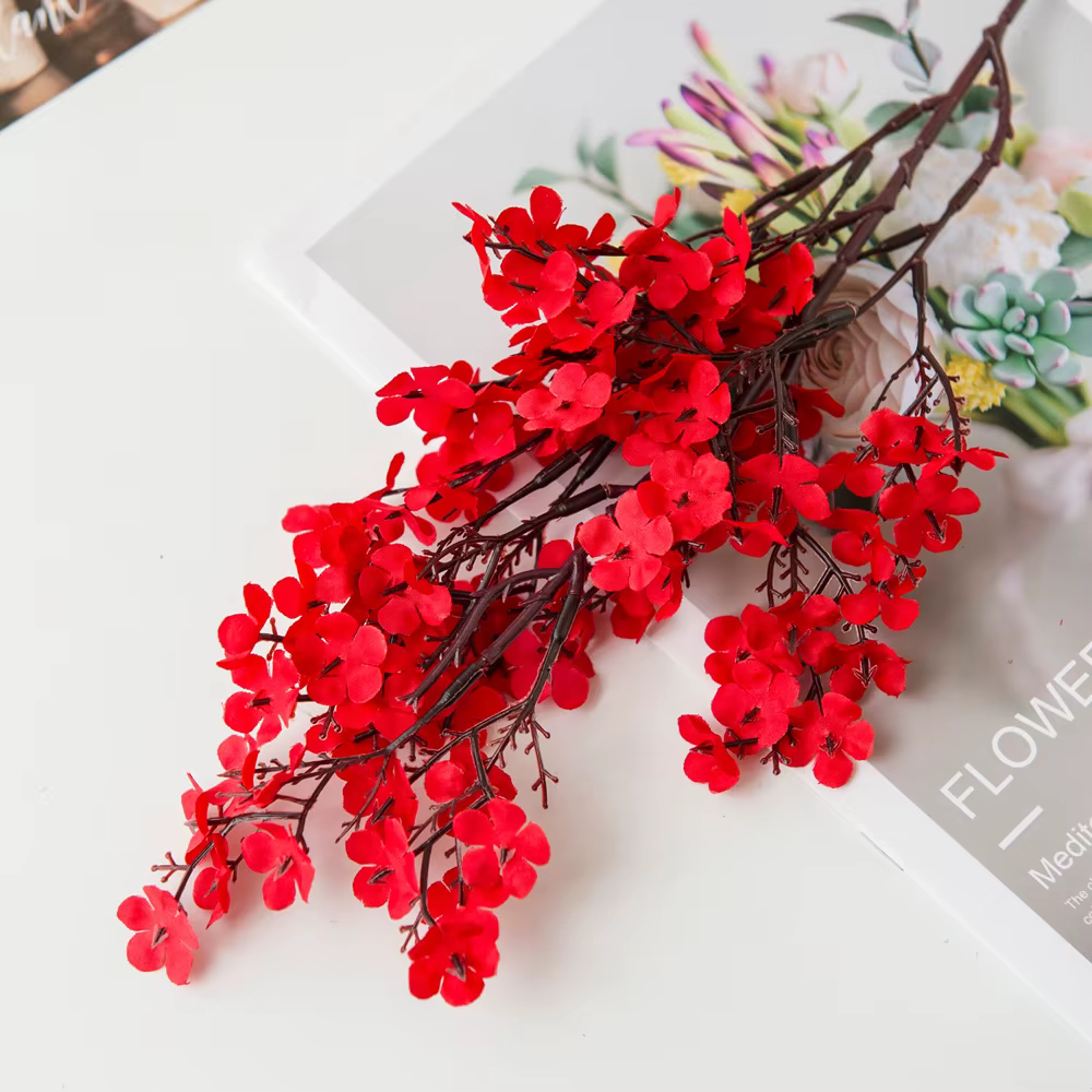 Fleurs de cerisier