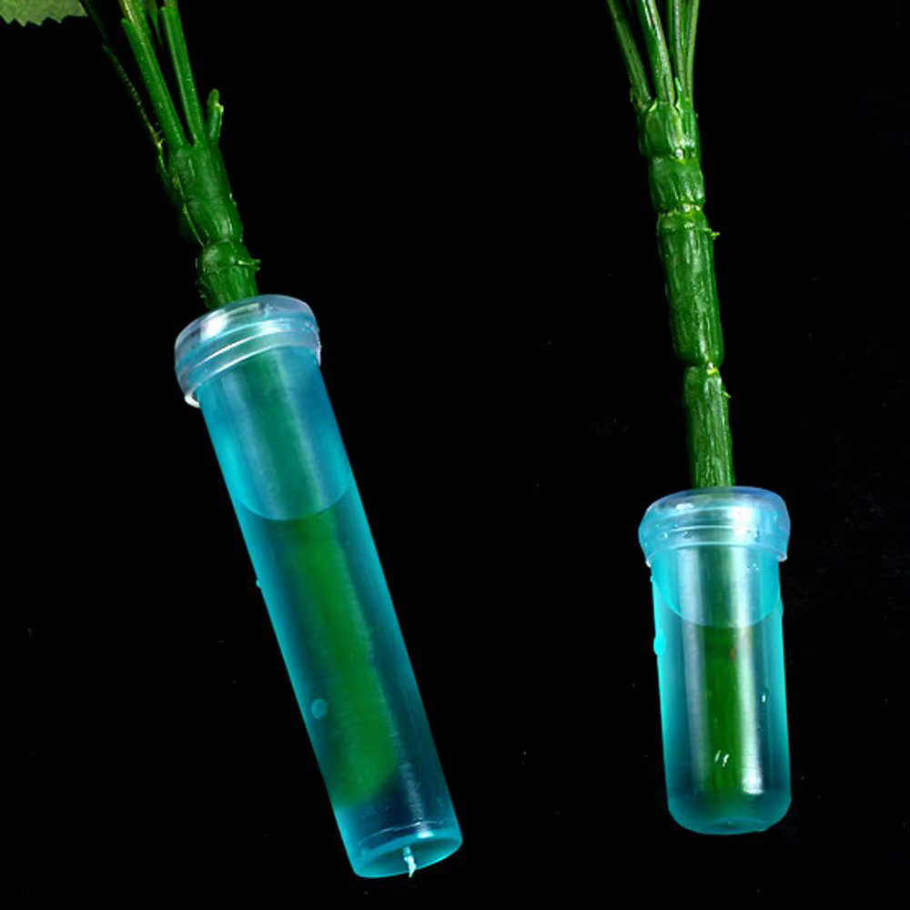 Tube de Nutrition de fleurs fraîches en plastique